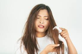 ما هي أفضل طريقة لعلاج الشعر الهايش وسقوطه المستمر بأفضل 3 وصفات طبيعية